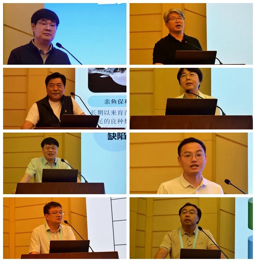图片 图片